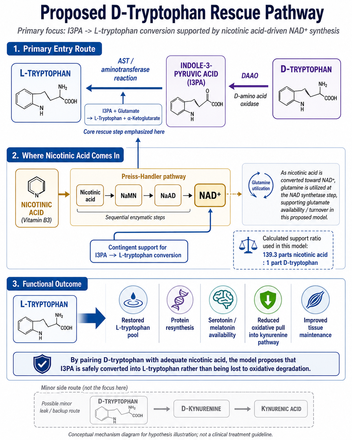 D-Tryptophan, USP-Grade - Image 3