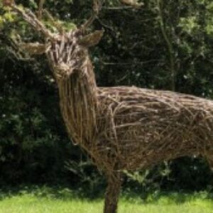 Profile photo of niacin