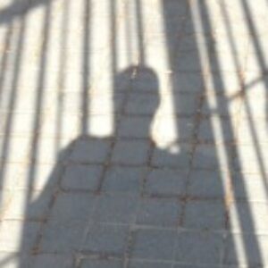 Profile photo of tjm