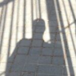 Profile photo of tjm