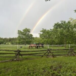 Profile photo of shawndralynn