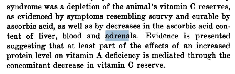 Screenshot 2025-06-03 at 6.17.35 PM